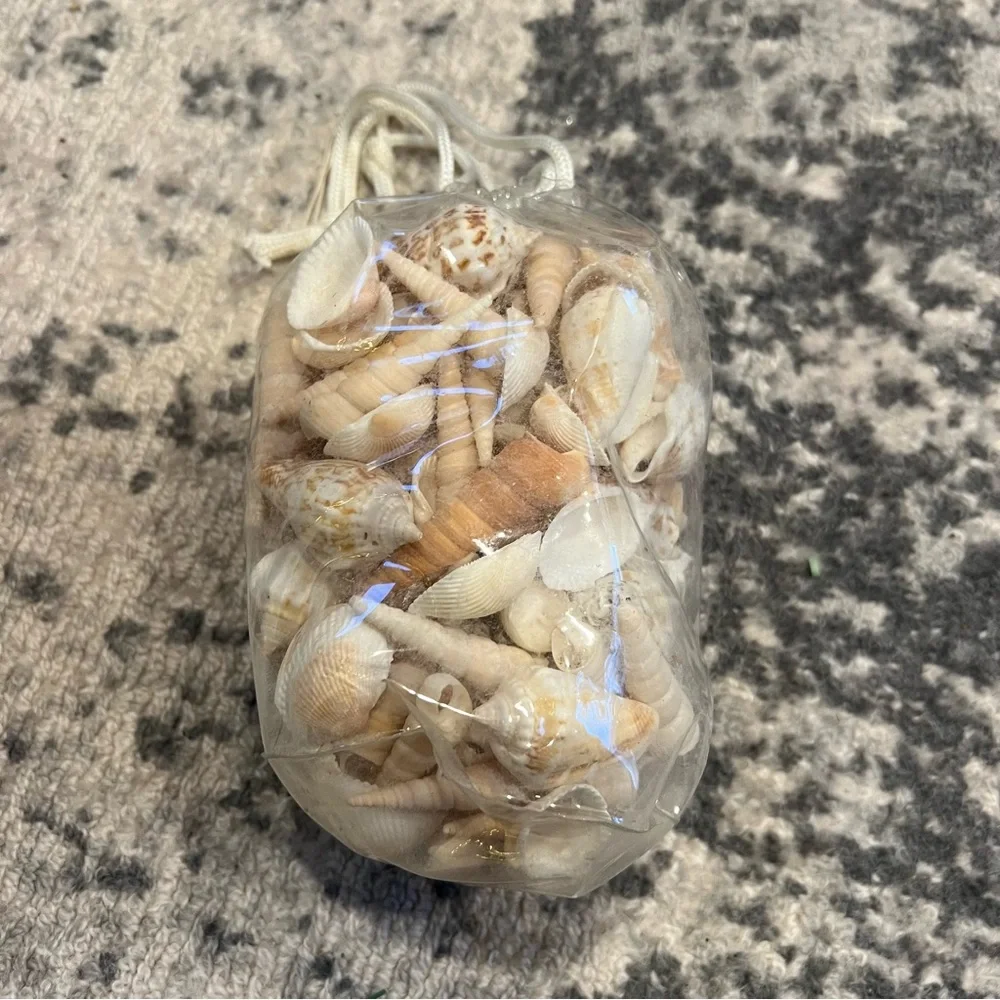 NWT PIER 1 Imports natural shell mix